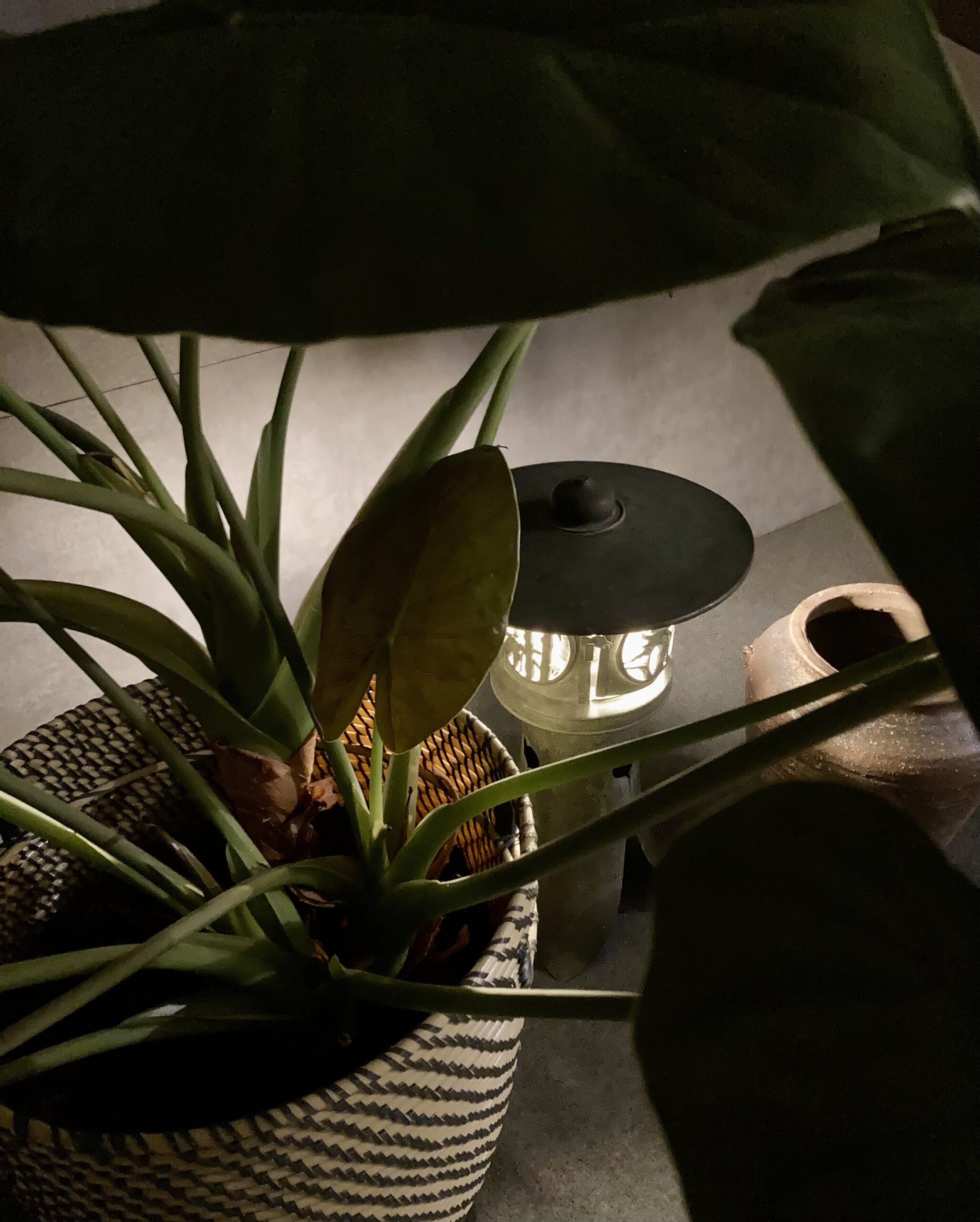 Antique Japanese Bronze Lantern (1/2)