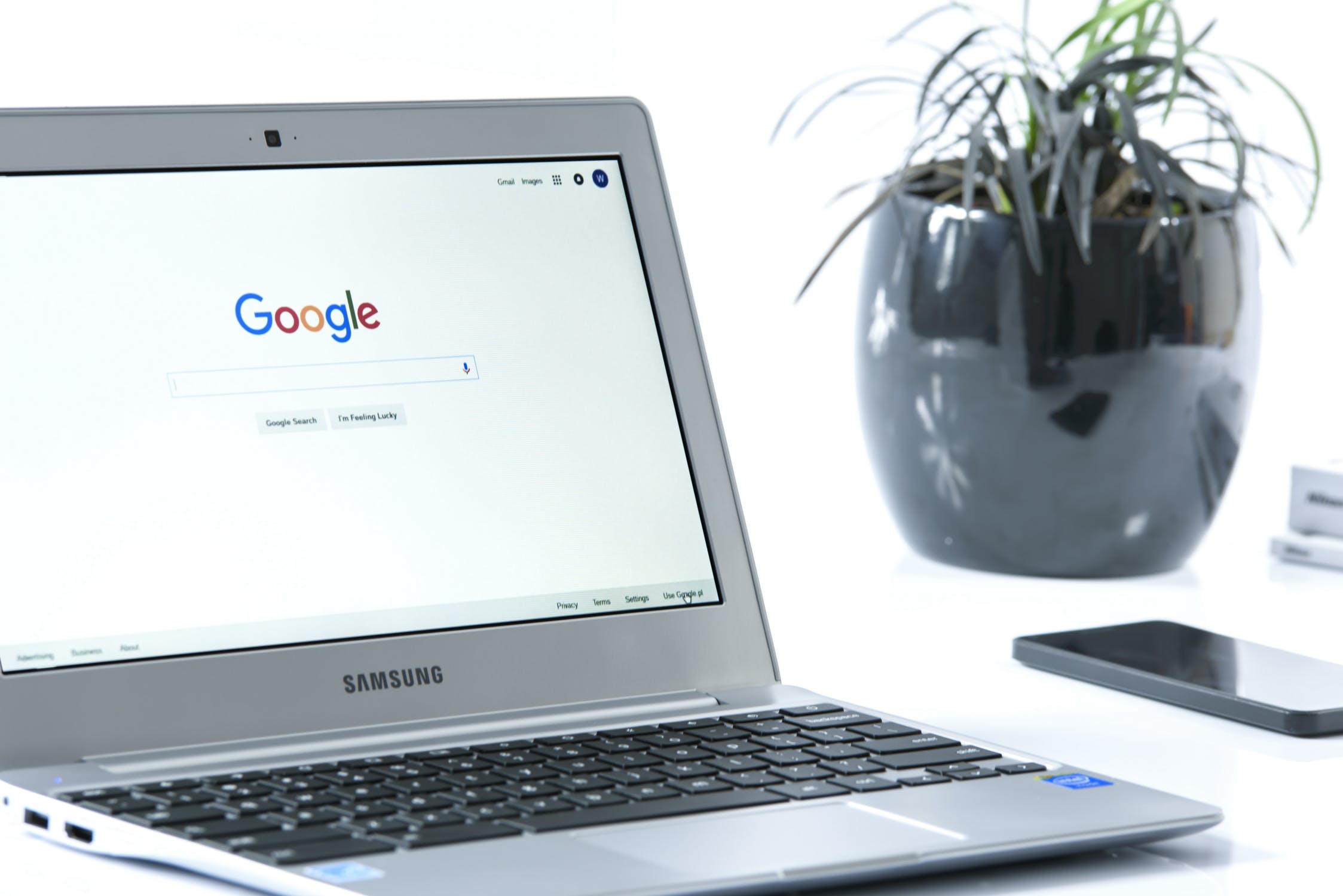 Google Your Own Content
