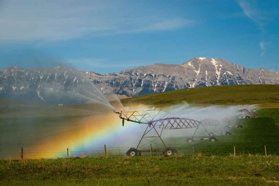 central pivot