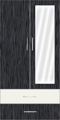 2 Door Wardrobe Design With Mirror And External Drawers Zenterior
