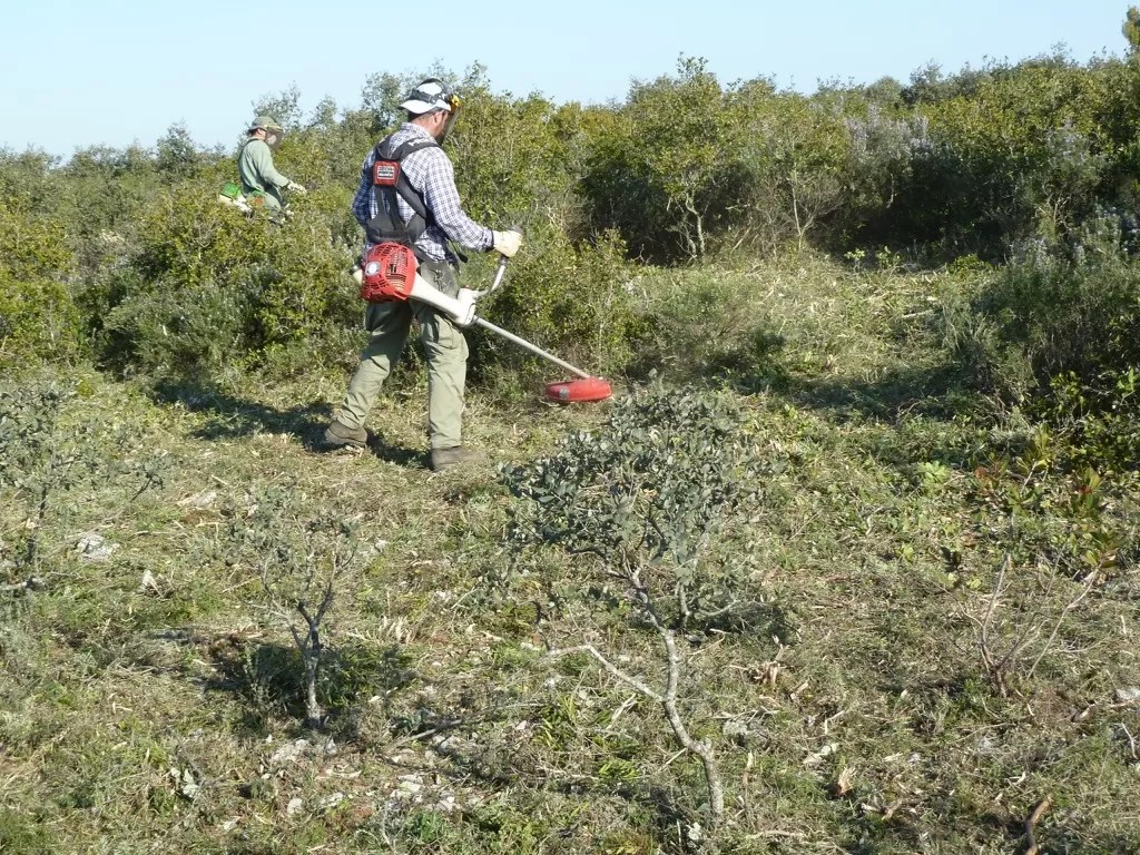 Prevenção de incêndios: É necessário melhorar os apoios públicos às equipas de sapadores florestais