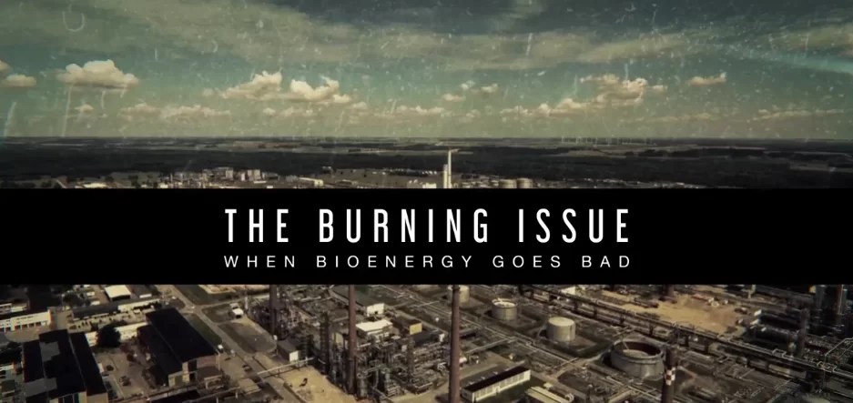 The Burning Issue – When bioenergy goes bad | 21 de Junho