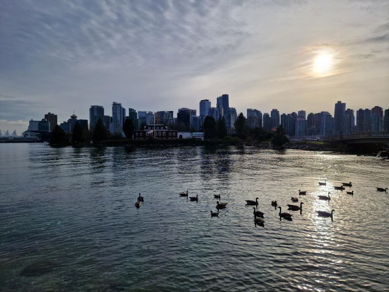 Zerobench - Best Colorful Textures in HD