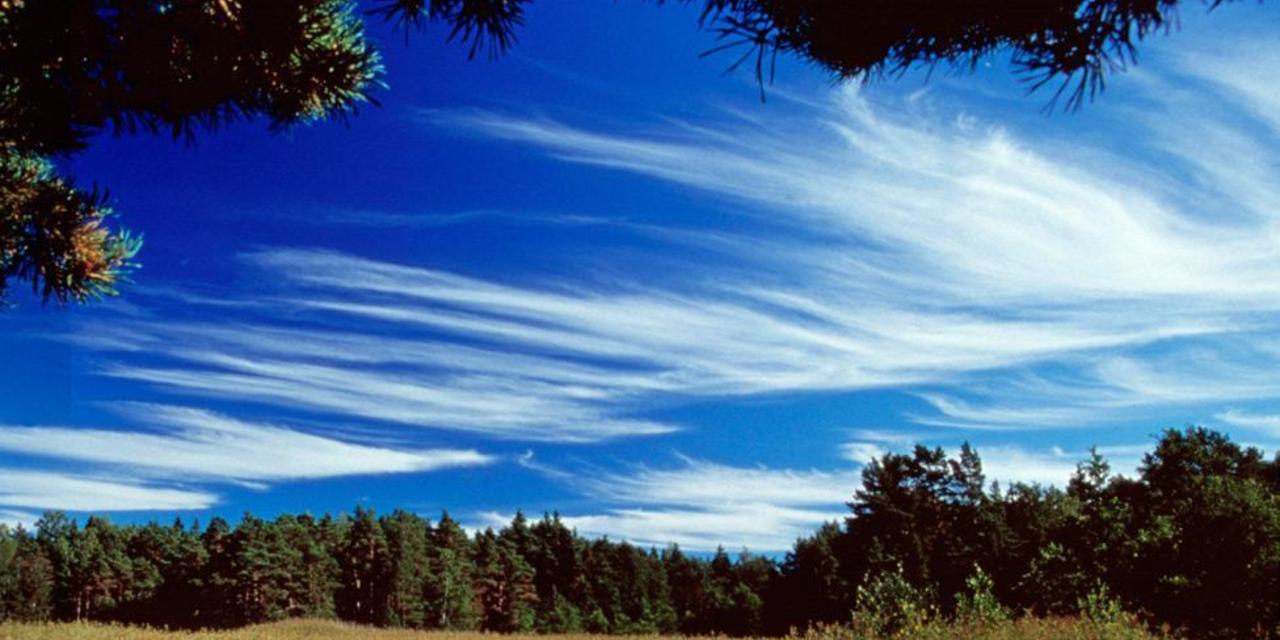 http://www.bbc.com/future/story/20130304-the-trouble-with-cloud-seeding