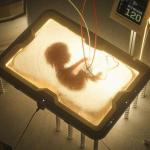 Silent War on Motherhood and The Family: AI is a Threat to Humanity and to Life on Earth