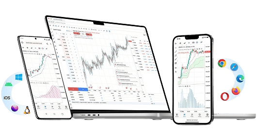 MetaTrader WebTrader Platform
