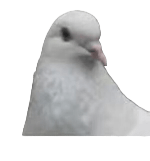 Zerxz Github - Ocean Images - Ultra HD Mobile Collection