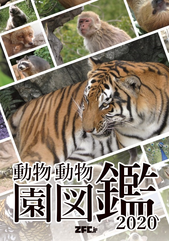 登録されている全動物一覧