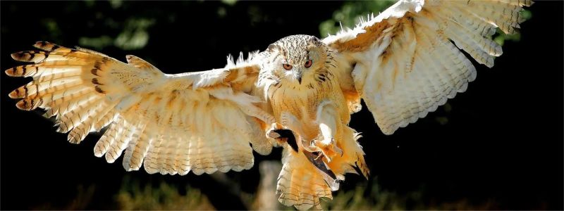 Anerodata Observable - Elegant Ocean Picture - Desktop