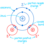a diagram of a water molecule for A-level biology