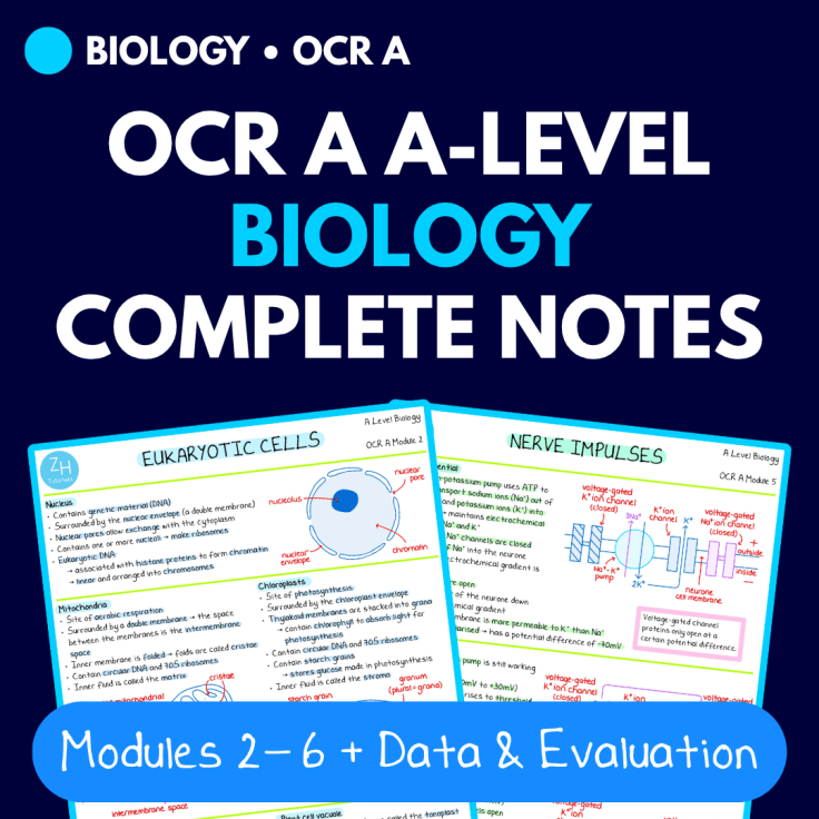 OCR A A-level Biology revision notes PDF cover