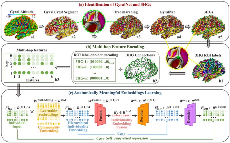 Zhulab Mind Github - Abstract Photo Collection - Full HD Quality
