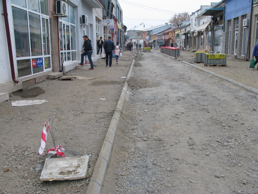 Strada Mare Tecuci (22)