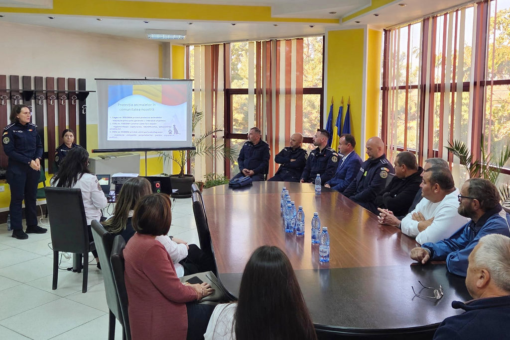 Activitate IPJ Galati 4