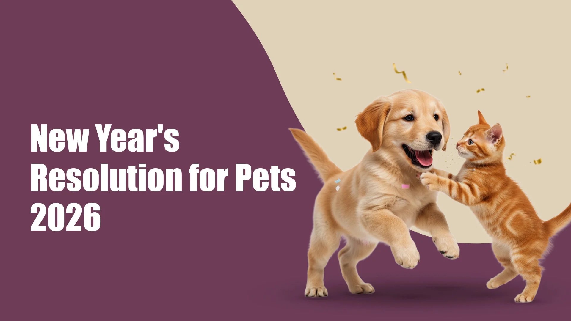 New Year S Resolutions For Pets 2026 Healthy Pet Tips Zigly New Year S Resolution For Pets 2026 