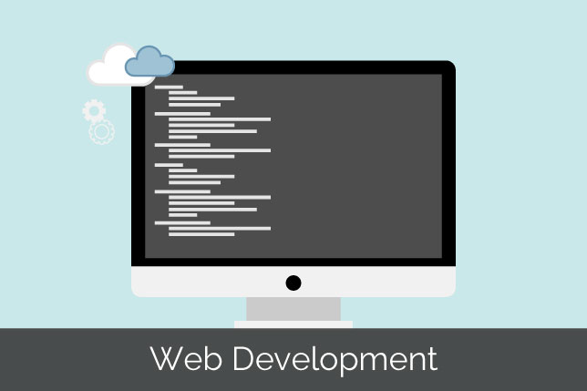 web development in Amritsar