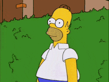 Simpsons hide