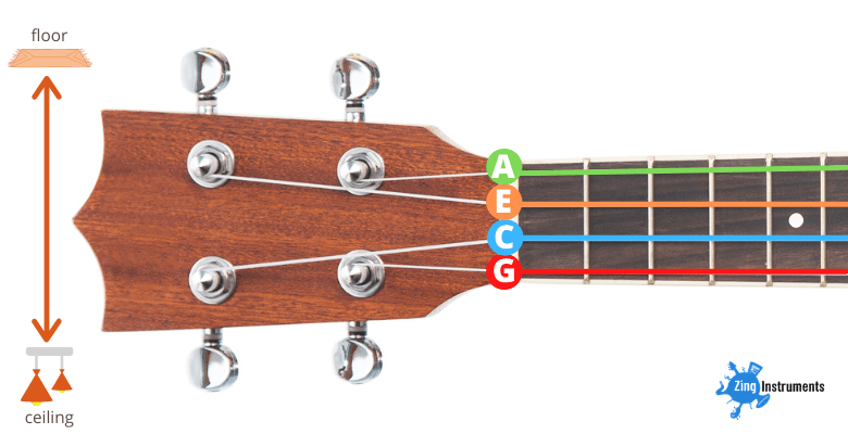 How To Tune A Ukulele For Beginners In 5 Easy Steps The Plete Guide 2021 G 4 C 4 E 4 A 4 which is often remembered by the notes in the My dog has fleas jingle see sidebar. How To Tune A Ukulele For Beginners In 5 Easy Steps The Plete Guide 2021 The dGBE tuning is more common for larger baritone ukuleles and it will give you the same root notes as the top four strings on a.