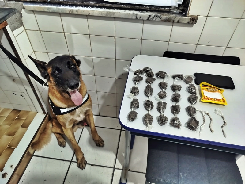 Itabatã: Polícia Militar prende suspeito de tráfico