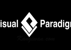Visual Paradigm Crack