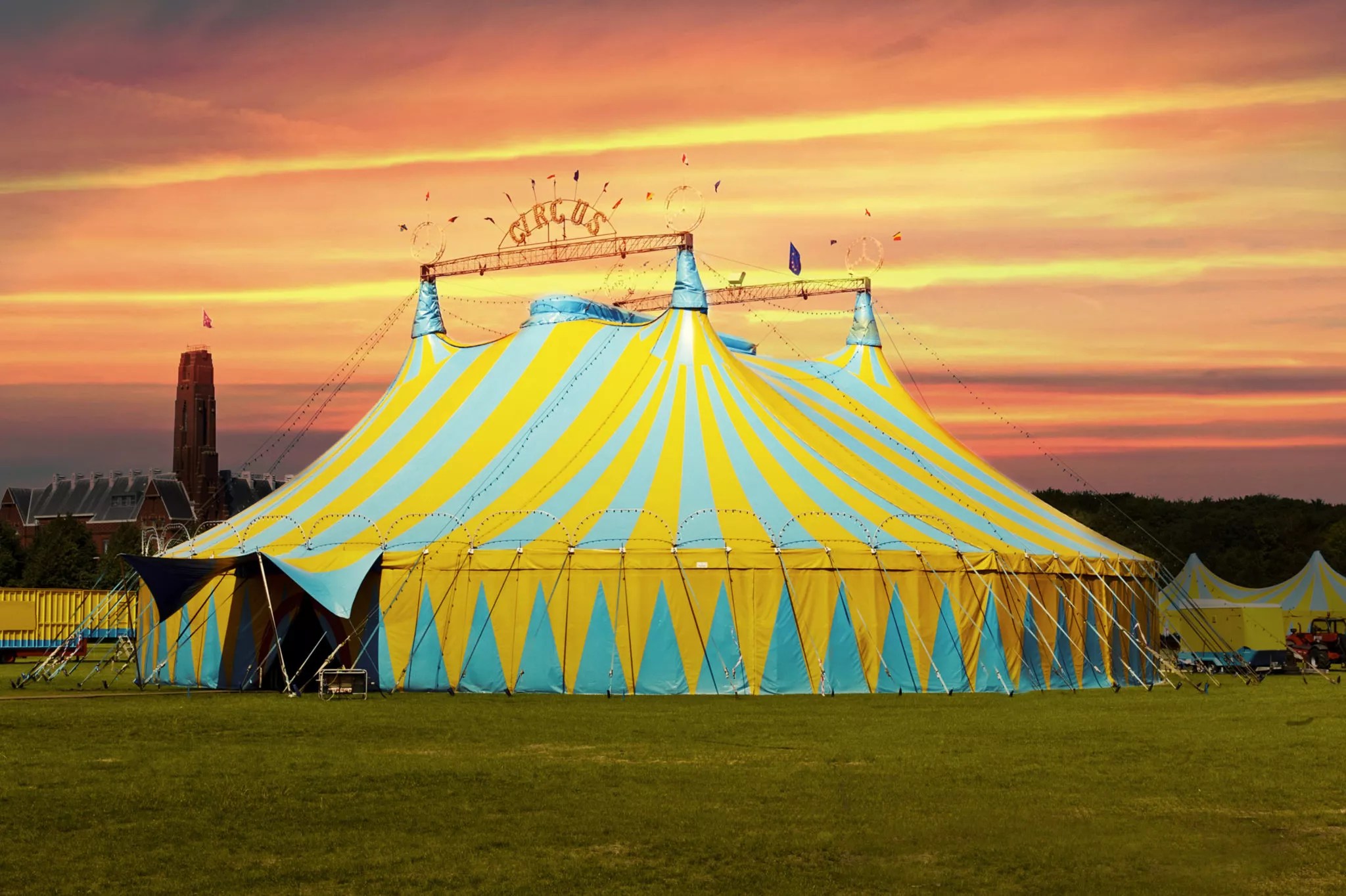 Zirkus in berlin