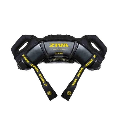 ZIZIPAC462