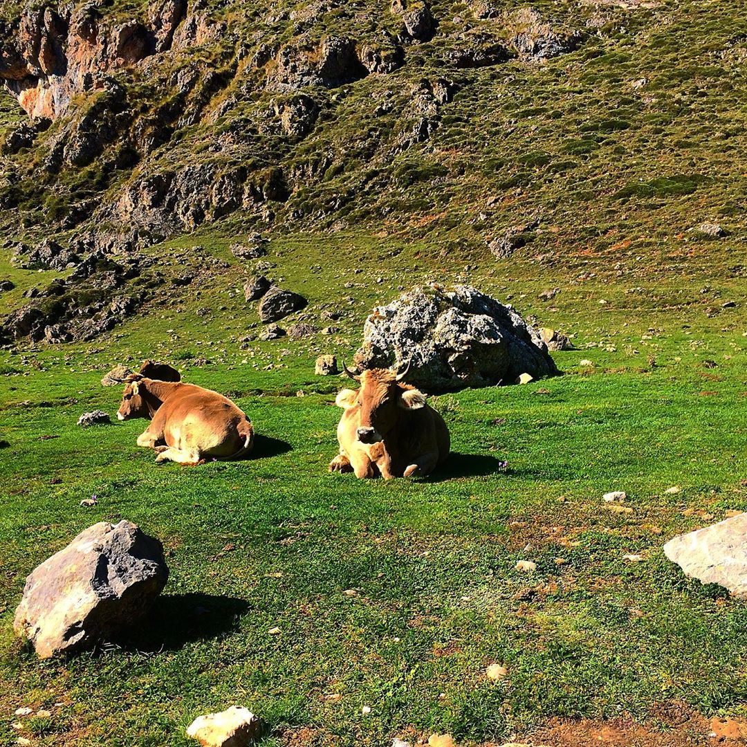 Svi smo čuli za Pirineje, ali tko je čuo za Picos de Europa?