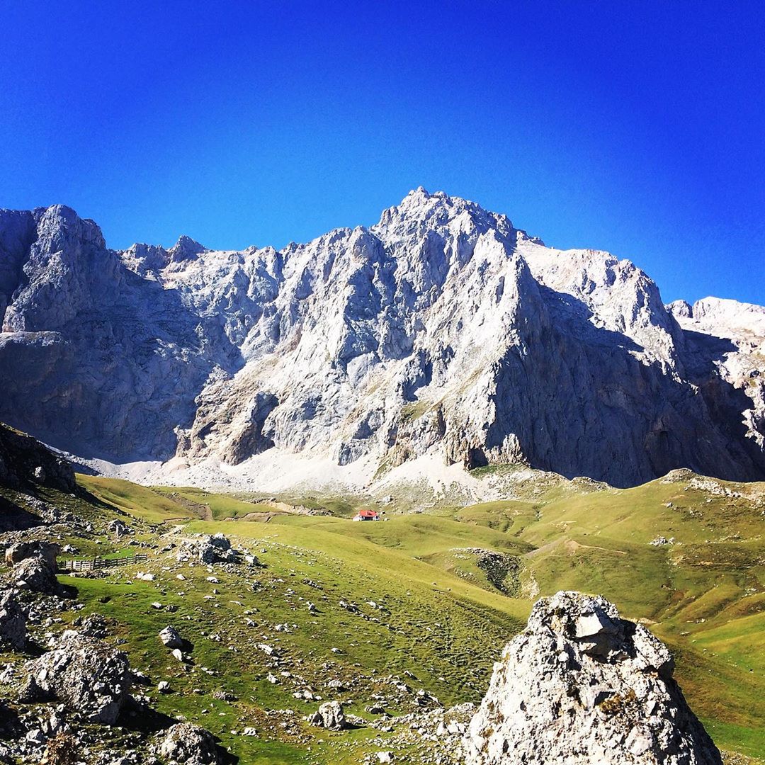 PICOS2