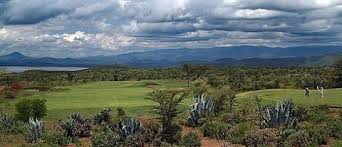 Golfing at Greenpark