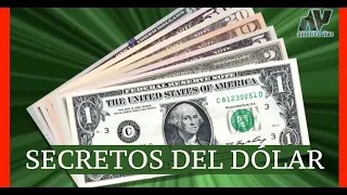 america vive