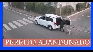 america vive