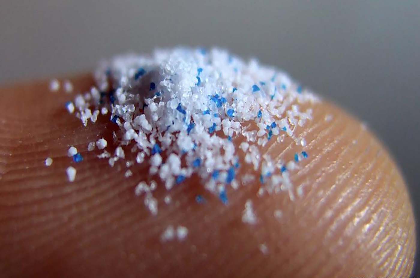 Mikroplastika – makroproblem?