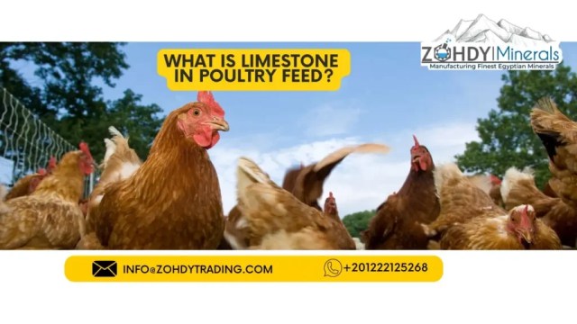 What is limestone in poultry feed