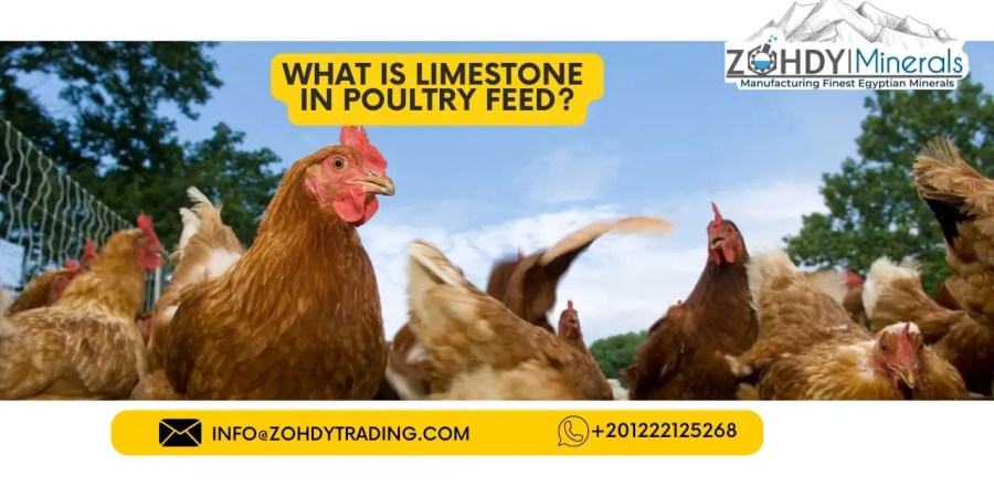 What is limestone in poultry feed?