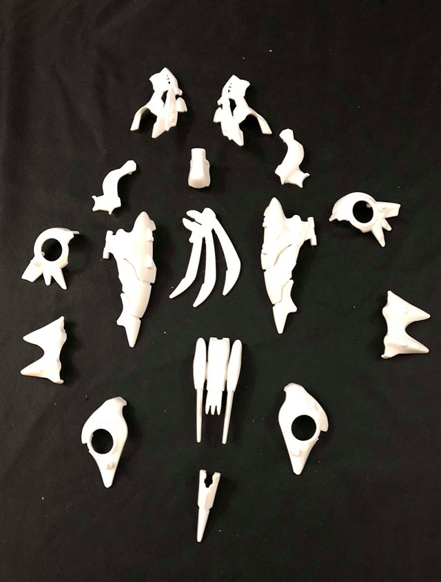 ZW19 Fang Tiger White Tiger Form