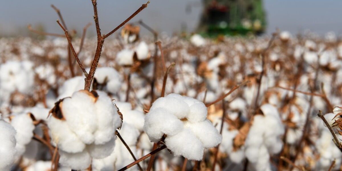 Agro Products