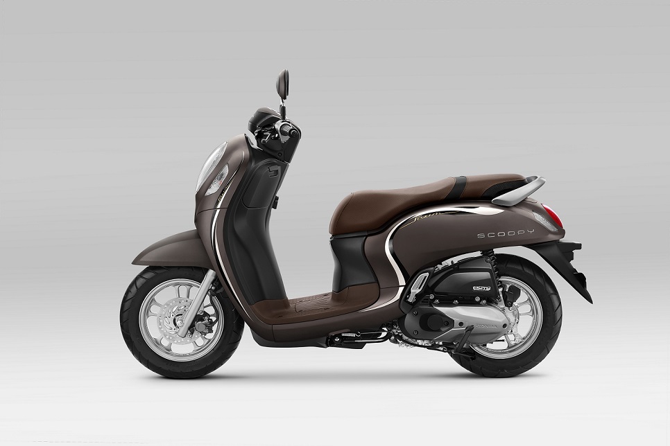 Stylish Brown