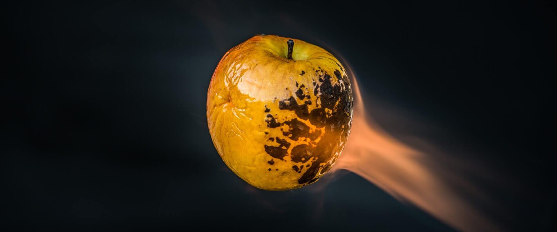 Why Project Managers are always Busy and a Way to Fix It