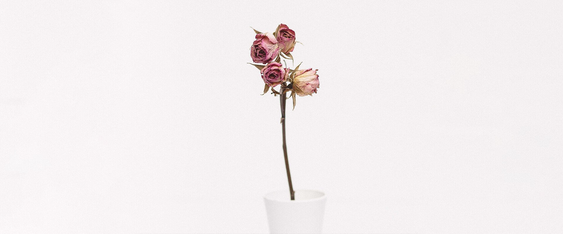 How Many Test Cases Do You Need? How Many Do You Have?