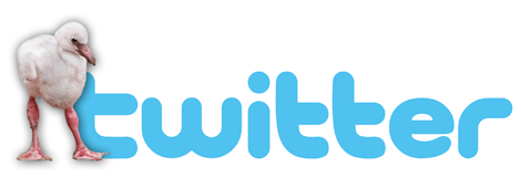 ZooBorns on Twitter