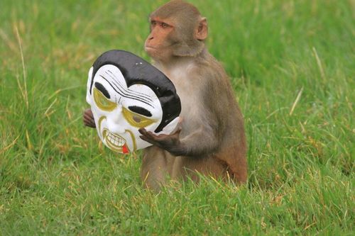 Longleat Safari Park 2 Longleat Safari Park 2
