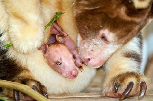 K CU w mom's nose K CU w mom's nose