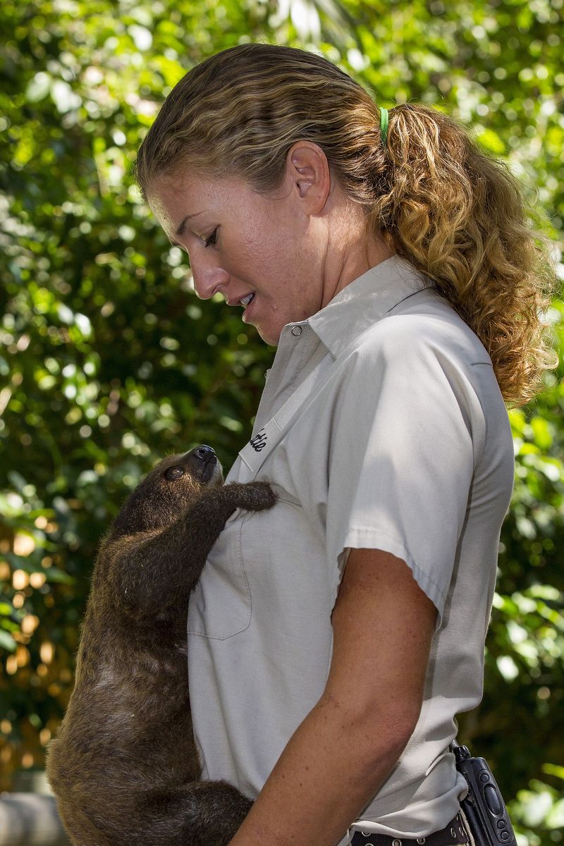 SlothBaby_003_LG SlothBaby_003_LG