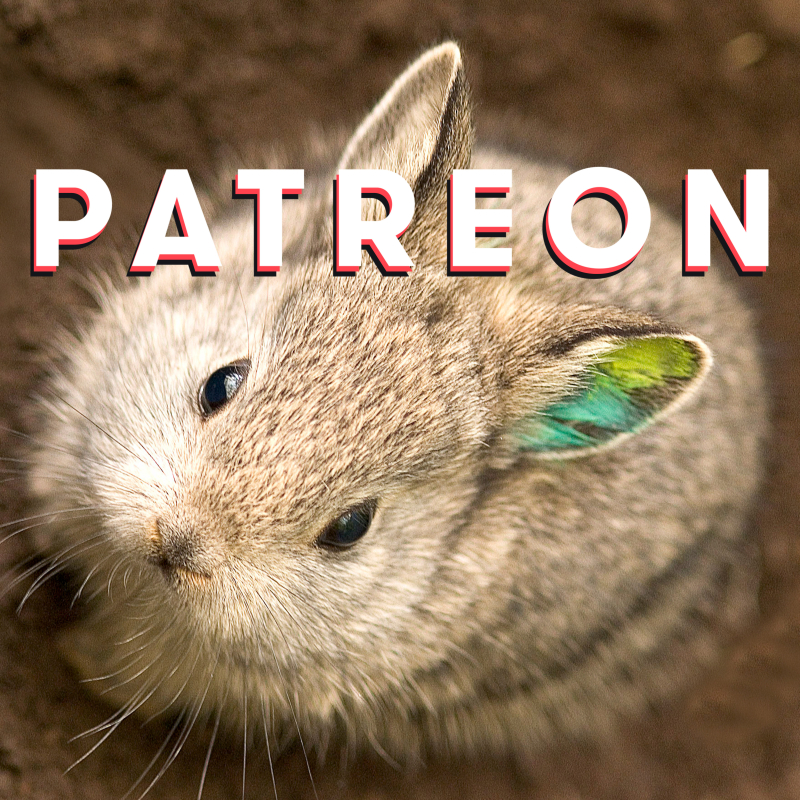 Patreon Patreon