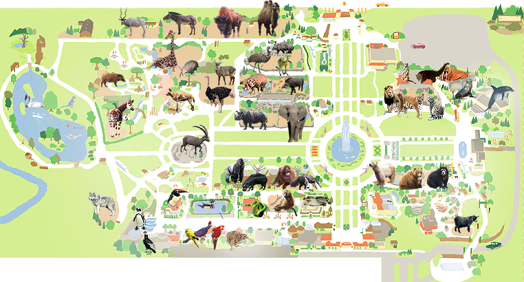 The Map Of Brookfield Zoo In Chicago USA 39 