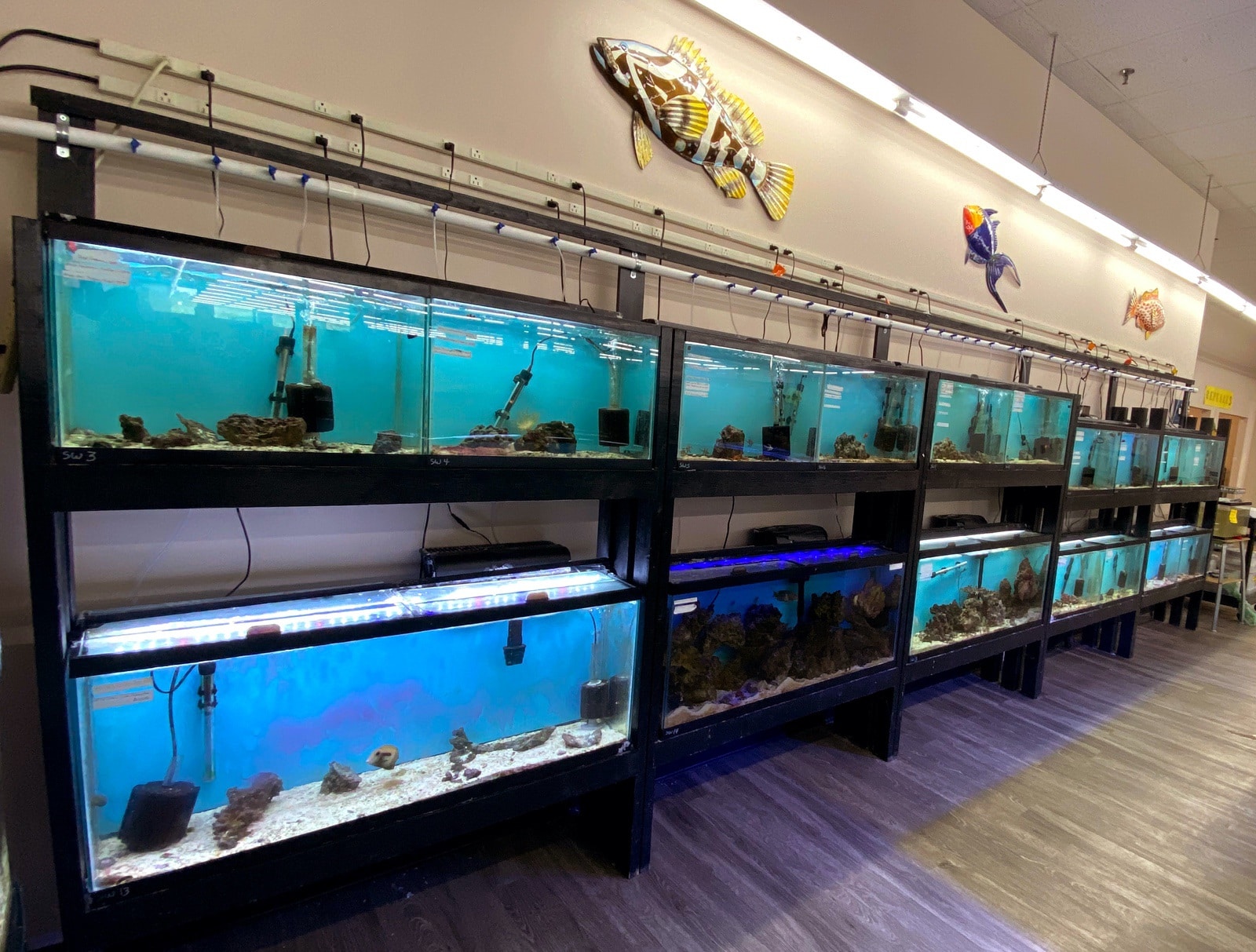 store of the month july 2020 zoo med laboratories inc on bills pet shop new bern nc