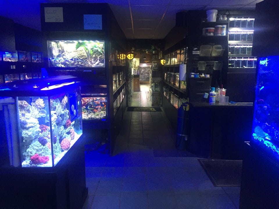 store of the month may 2018 zoo med laboratories inc on pet supplies plus lockport