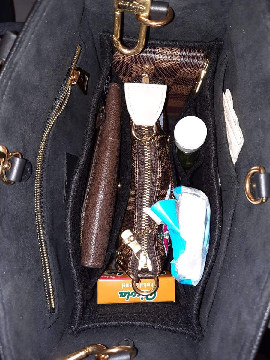 LOUIS VUITTON ON THE GO PM, WHAT FITS INSIDE, ORGANIZER