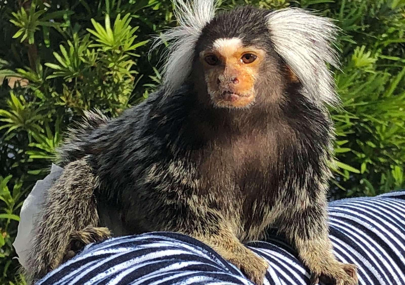 Favorite exotic animal photos