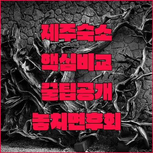제주도 가족여행 숙소 추천 3곳 비교 분석 (2025)